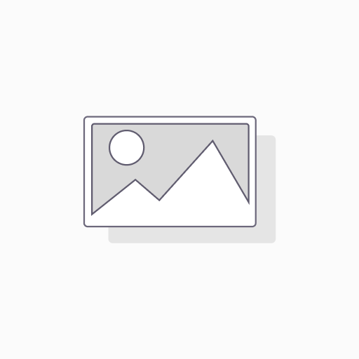 100142 SEIFEL PLAQUE UAC